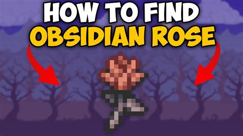 obsidian rose terraria farm.